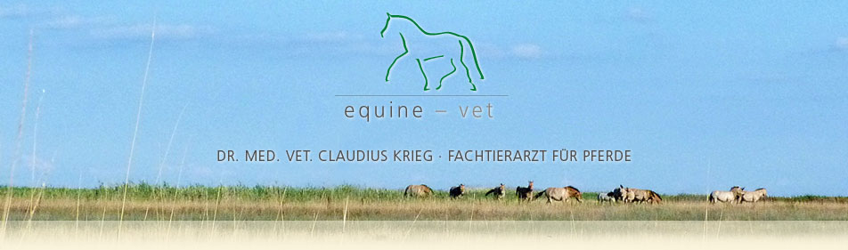 equine-vet · Dr. med. vet Claudius Krieg · Fachtierarzt für Pferde · Rufbereitschaft für München und Umgebung – rund um die Uhr, 365 Tage im Jahr! 