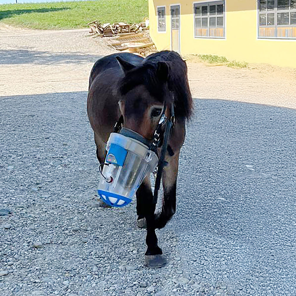 Dr. med. vet. Claudius Krieg - Atemwegserkrankungen: Atemwegserkrankungen wie Lungenentzündung, equines Asthma, infektiöse Atemwegserkrankungen u.a. können Leistungsfähigkeit und Wohlbefinden stark beeinträchtigen. Bei rechtzeitiger tierärztlicher Behandlung lassen sie sich wirksam managen.